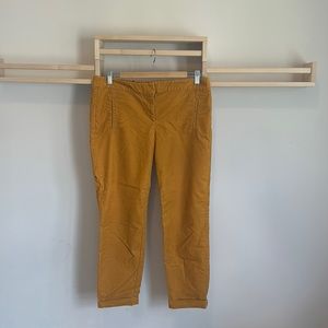 Loft Low rise Straight Corduroy Ankle Pant Size 8